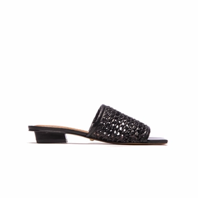 Hibiscus Black Leather