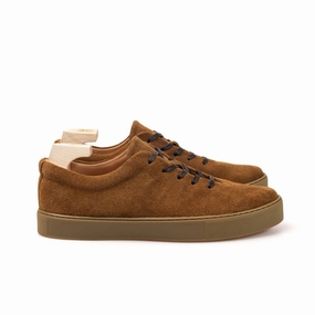 Upton Wholecut - Snuff Janus Calf Suede